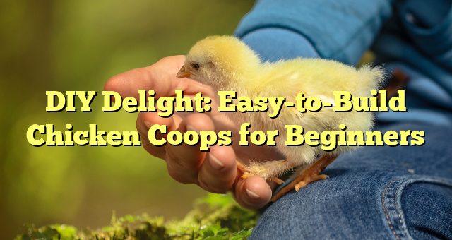 DIY Delight: Easy-to-Build Chicken Coops for Beginners 
